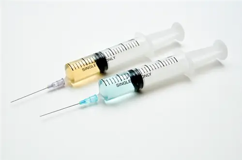 Пневмококки: выбрать бесплатную или платную вакцину? Отличия 10- и 13-валентной вакцины