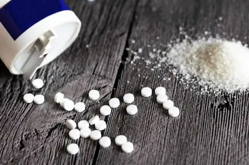 О безопасности подсластителей, или что вы могли не знать о подсластителях