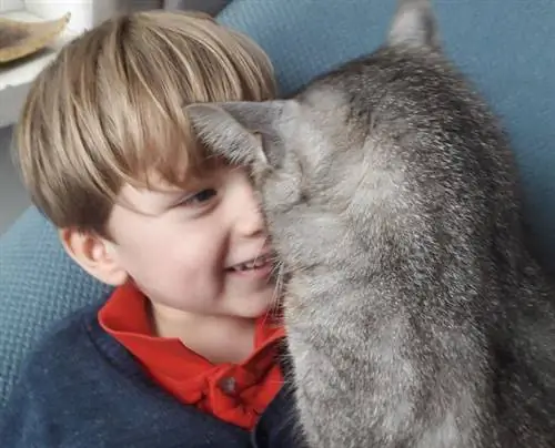 История трудолюбивого Бена, у которого мышцы перестали «исчезать»