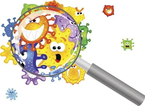 12 самых опасных бактерий, на которые не действуют антибиотики