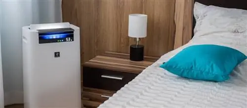 Очистители воздуха для аллергиков - как работает очиститель воздуха и когда его стоит покупать?