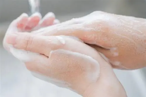 Как мыть руки? Инструкции по мытью рук