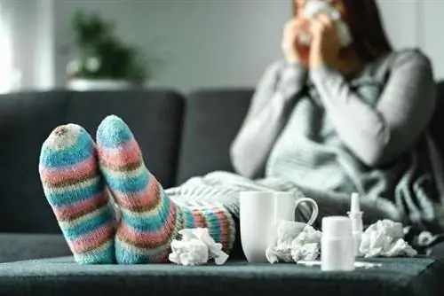 Как лечить простуду - проверенные методы