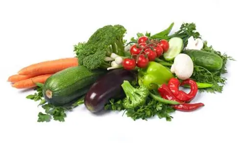 Диета при HELICOBACTER PYLORI: рекомендуемые и запрещенные продукты