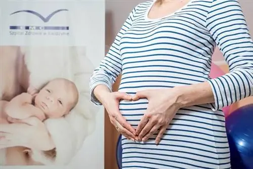 Открытие нового родового канала в больнице EMC Zdrowie в Квидзыне