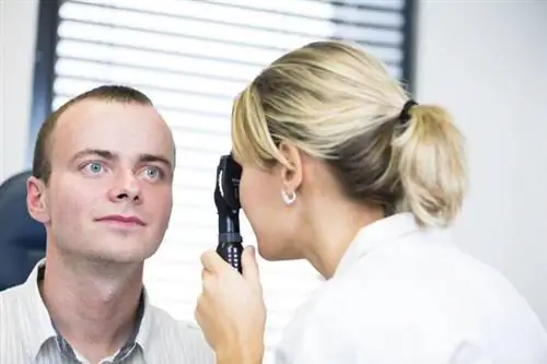 Ячмень на глазу: причины, симптомы и лечение