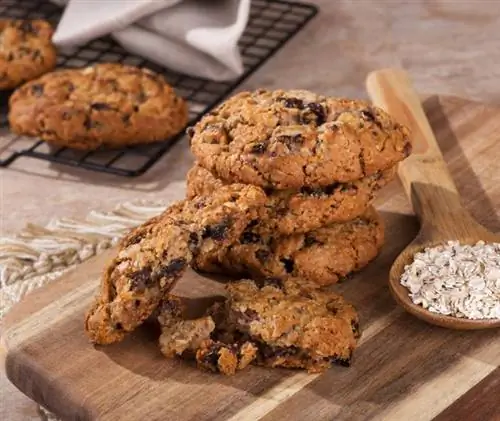 Овсяное печенье: полезно ли овсяное печенье? Сколько в них калорий?