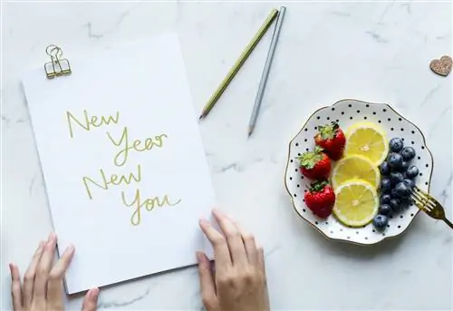 Новогодние обещания: как их сдержать?