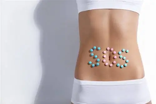 Домашние средства от расстройства желудка: травы, имбирь, уксус и сода