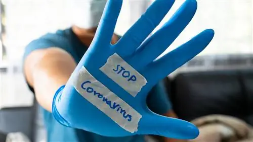 Мебельная компания жертвует миллион злотых на борьбу с коронавирусом