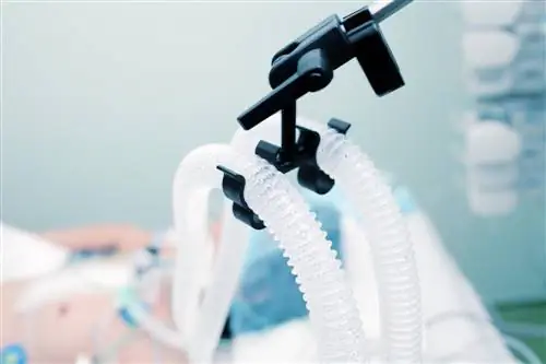 Аппарат ИВЛ - узнайте, как работает искусственное легкое