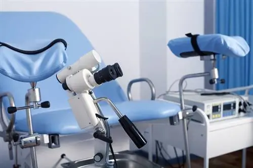 Посещение гинеколога: как подготовиться?