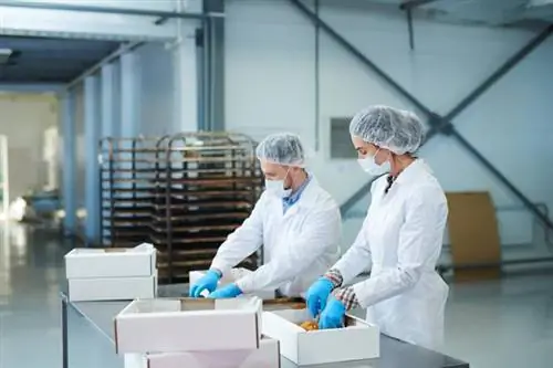 Кейтеринг во время эпидемии - передается ли коронавирус через продукты питания?