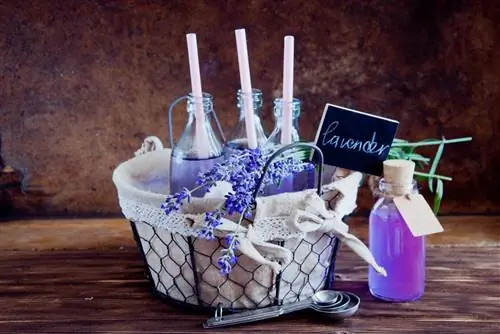 Сироп лаванды: для похудения, болей в животе, релаксации. Как это сделать