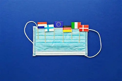 ВОЗ: Вспышка коронавируса в Восточной Европе не стихает