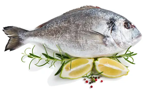 Дорада – пищевая ценность и свойства