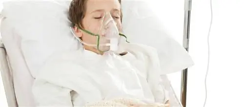 Сепсис: симптомы и лечение