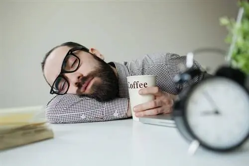 6 причин вздремнуть