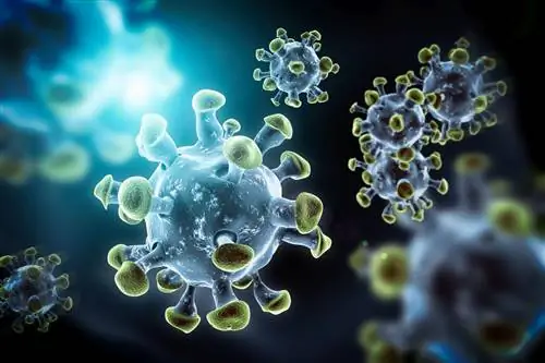 Искусственный коронавирус SARS-CoV-2 поможет в борьбе с пандемией. Это безопасно?