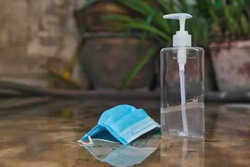 Остерегайтесь гелей для дезинфекции рук. Они могут быть токсичными