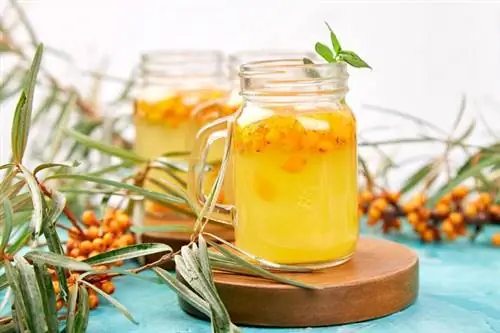 медовая вода