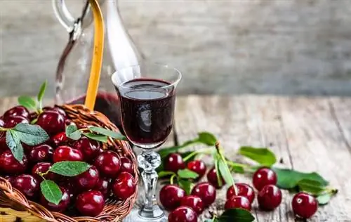Настойка с вишней Настойка с вишней