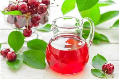 ЛЕКАРСТВЕННАЯ настойка вишни. Рецепты вишневой водки
