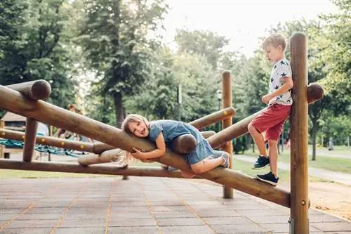 Веселье на детской площадке