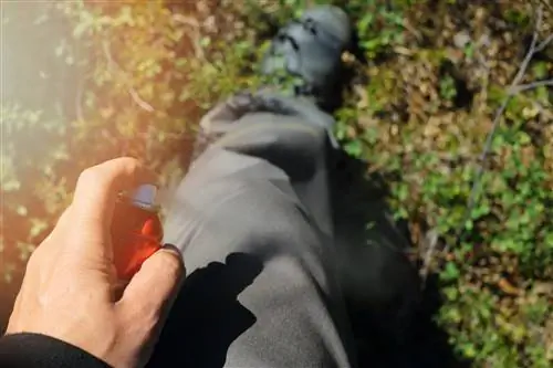 Защищает ли жидкость от комаров от коронавируса? Его проверяет британская армия