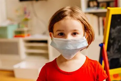 Открытие яслей и детских садов: Руководство ГИС. Будут ли дети в безопасности?