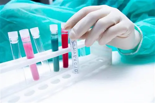 Препарат от коронавируса на стадии тестирования - совершенно новый препарат на рынке
