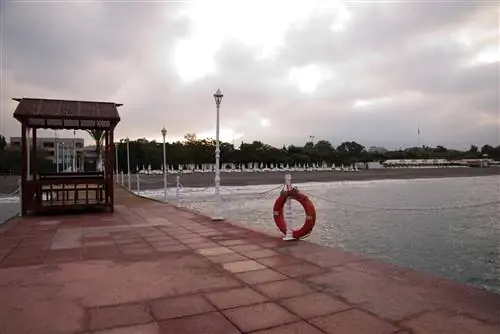 Кто получит 1000 плюс? Какие условия выдвигает правительство?