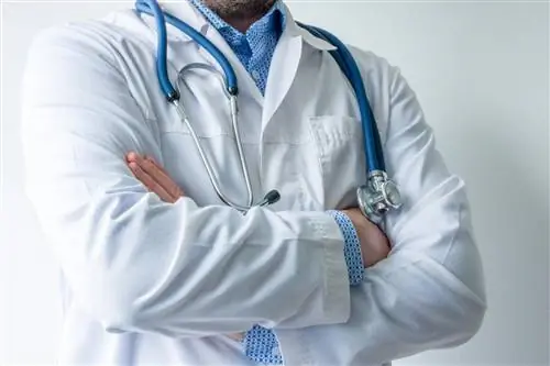 Что это за доктор? Проверьте, знаете ли вы медицинские специальности