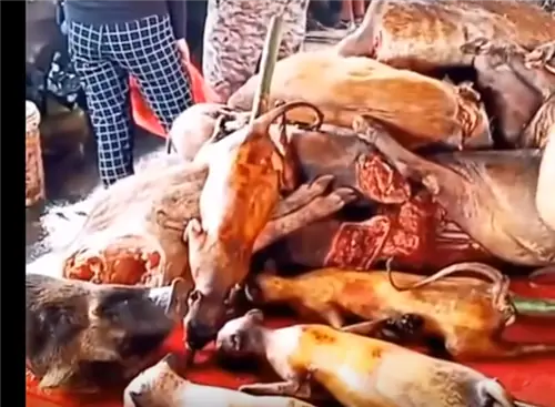 Рынок в Ухане Рынок в Ухане