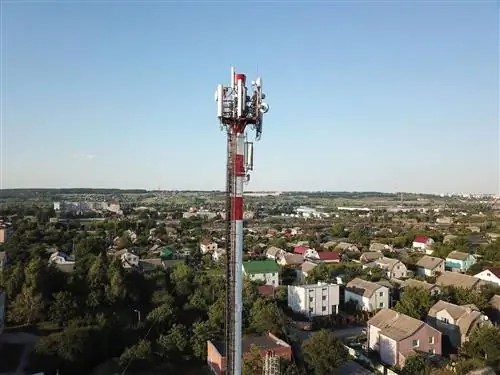 Сеть 5G и рак? уже есть исследования