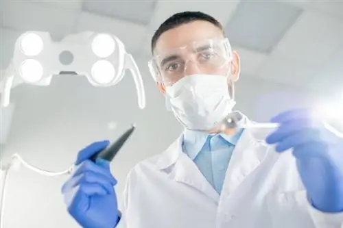 Стоматолог во время коронавируса. Где находится ближайший открытый офис? Проверить на карте