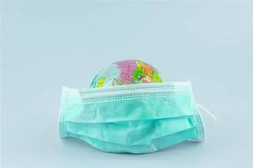 Коронавирус в Польше. Что выбрать: защитную маску или козырек?