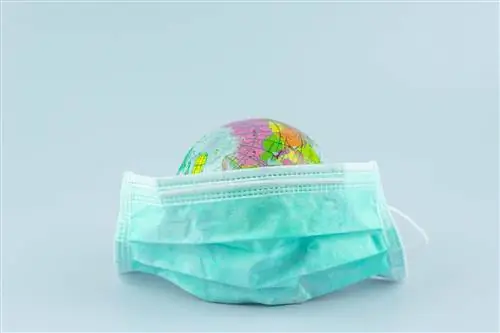 Правительство продлевает запрет до 23 мая