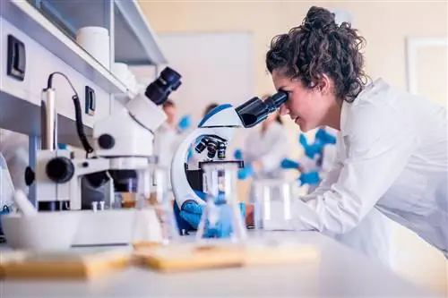 Настольная игра "Заражение" . Играйте и создайте свою собственную пандемию