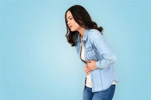 Поддержка пациентов с ВЗК во время эпидемии