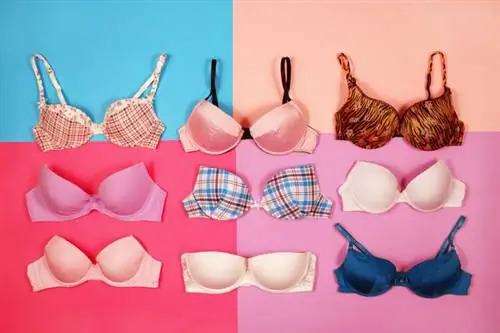 бюстгальтер