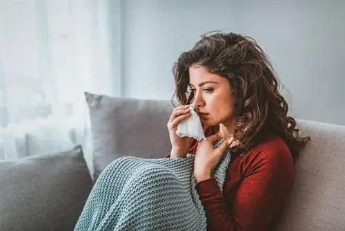 Ринит: причины, симптомы и лечение Ринит: причины, симптомы и лечение