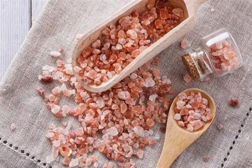 Гималайская соль