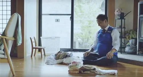 Японские губернаторы имитируют беременность