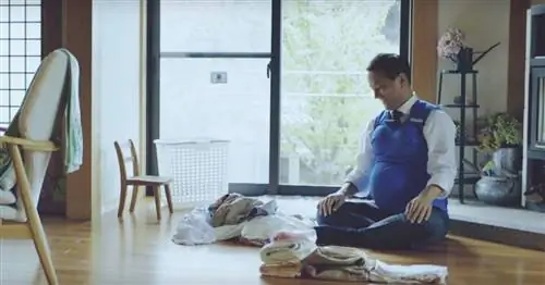 3 японских губернатора симулируют беременность, чтобы вызвать сопереживание