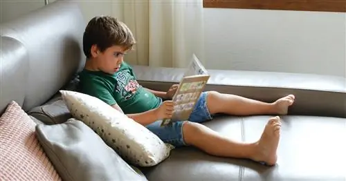 Из них получатся отличные лидеры и еще 5 вещей, которые нужно знать о детях-интровертах