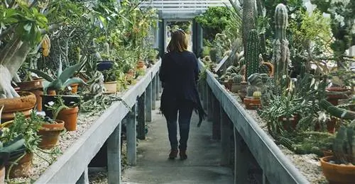 женщина гуляет в детской