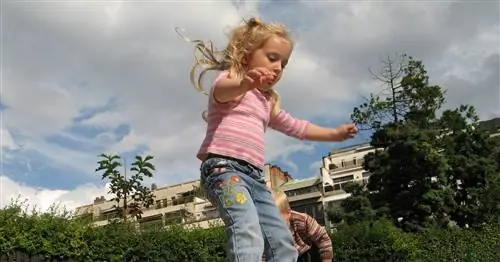 Доказательство того, что песочница на игровой площадке полна вещей, которые вы не хотите, чтобы ваш ребенок