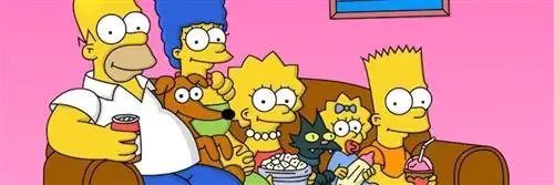 телевидение