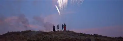 виды деятельности